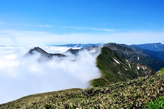 谷川岳雲海